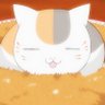 爱猫猫 的头像