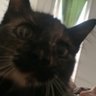 Profilbild von Masa sih?