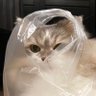 YUKIY's profile picture