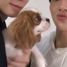 🐈るる🐕's profile picture