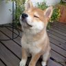 Фото профиля maki