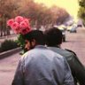 Ayush's profile picture