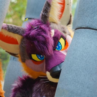 StellarAntares's profile picture