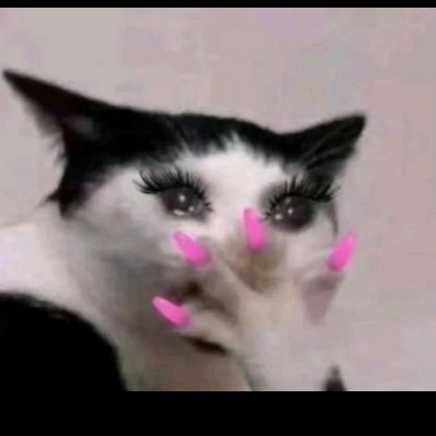 nininijiangya's profile picture