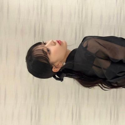 ボンゴレビ・アンコ's profile picture