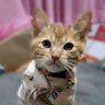 Фото профиля ภาคีไร้นาม