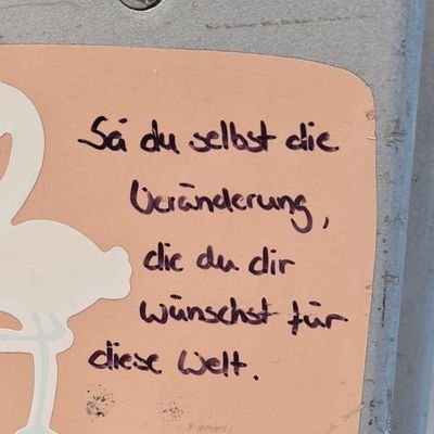 Täglicher Wahnsinn News's profile picture