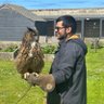 NadeemShaikh's profile picture