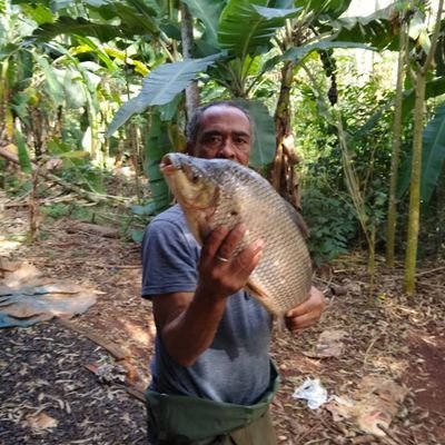 DiogoBat2's profile picture