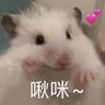 lone sail 的头像