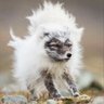Dr. Olivia's profile picture