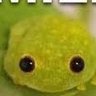 👑 Frog Enjoyer 👑 的头像