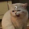 取らない 的头像