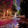 Profilbild von محمدبن عبدالعزيز