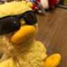 boss profil fotoğrafı