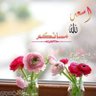 Profilbild von Ahmed Elhosary