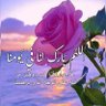 عبدالله's profile picture