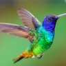 Фото профиля Margot Navarro