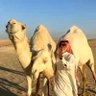 الأسمر الرمالي's profile picture