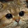 b9347da1's profile picture