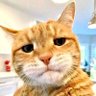 下头男孩 profil fotoğrafı