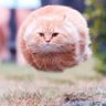 Тот самый Ильич profil fotoğrafı
