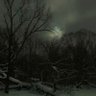 Фото профиля Louid