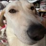 Lexi๐ชท's profile picture