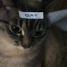 Profilbild von Creator_of_stupid_shits