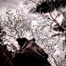 Day😶🌫️'s profile picture