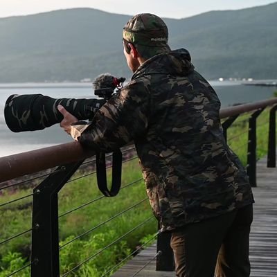 tozanbirder's profile picture