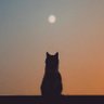 Profilbild von Heliosphere
