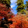 シャナ(yu) profil fotoğrafı