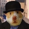 Фото профиля Calibrax 🐹