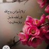 MTA_alk profil fotoğrafı