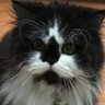 Profilbild von Hส