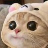 มัมม๋ายัยจ้านเร้กเจี่ยเจียมุ้ป๋อ 的头像