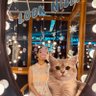 Фото профиля Kattyzz_WS 🤎❤️🌏🪐💖💙🖤🤍