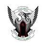Kamal Alrayah Aldawo Adam 的头像