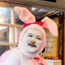 いわし's profile picture