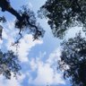 雲の向こう側 profil fotoğrafı