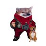 Profilbild von Fella, Ulikopterinkuljettaja