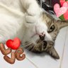 Gmoney Sweetdream profil fotoğrafı