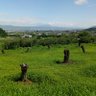 Profilbild von 蟋蟀@長野県民