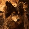 Profilbild von Tekken