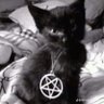 𝑪𝒓𝒙𝒙𝒏𝒂 🦇 的头像