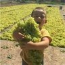 LookingnLearning's profile picture