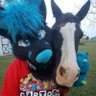 flashgorefur's profile picture