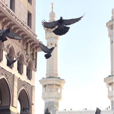 awesh_0's profile picture