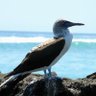 Фото профиля Fco. Macías Valadez
